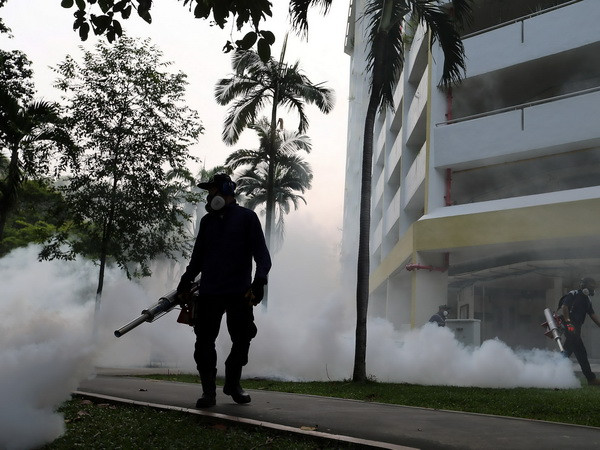 Singapore xác nhận 16 phụ nữ mang thai bị nhiễm virus Zika ảnh 1