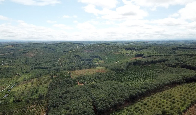 Bố trí 1.000 tỷ đồng thực hiện cao tốc Đắk Nông-Bình Phước ảnh 1