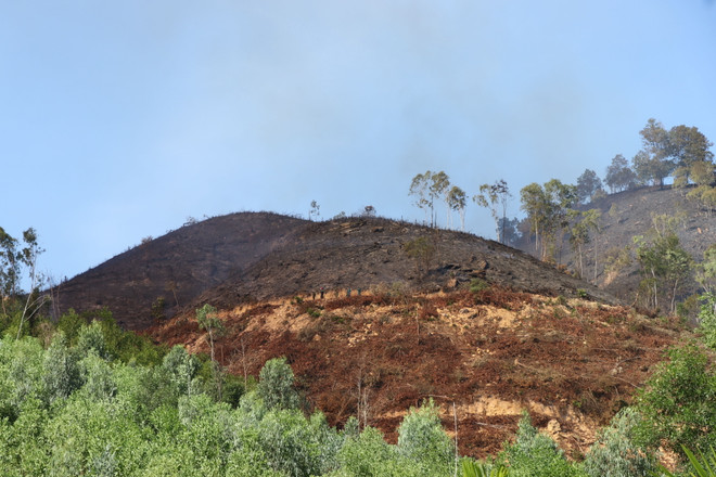 Đà Nẵng: Huy động hàng trăm người phối hợp chữa cháy rừng ảnh 1
