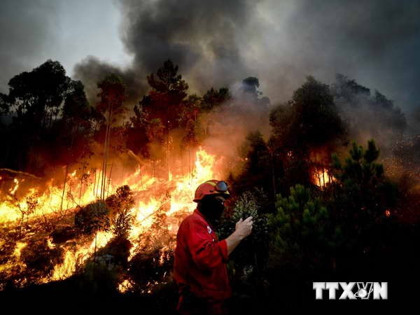 Cháy rừng lan rộng ở Mỹ, hơn 20.000 gia đình phải sơ tán ảnh 1
