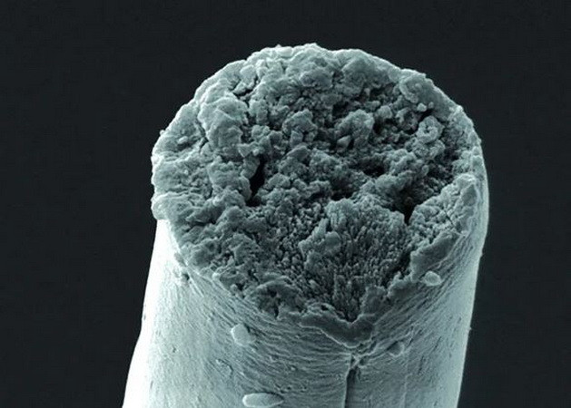 Các nhà khoa học Trung Quốc phát triển thành công tơ nhân tạo siêu bền ảnh 1