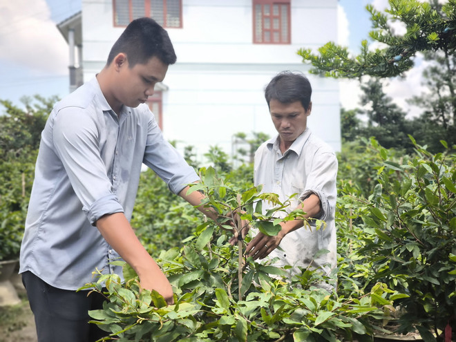 Ông Bùi Hoàng Trọng (bìa phải), xã Vĩnh Thành, huyện Chợ Lách chuẩn bị hàng hóa đóng gói giao cho khách hàng đã đặt thông qua kênh bán hàng trực tuyến. (Ảnh: Huỳnh Phúc Hậu/TTXVN) TTXVN_2208Bentrethuongmaidientu2.jpg