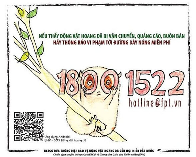 Một triệu cánh thư kêu gọi cộng đồng bảo vệ động vật hoang dã ảnh 1