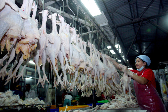 New Zealand tìm hiểu tiềm năng hợp tác nông nghiệp với Việt Nam ảnh 1