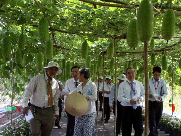 Phát triển bền vững: Cần xanh hóa những mảng "nâu" ảnh 1