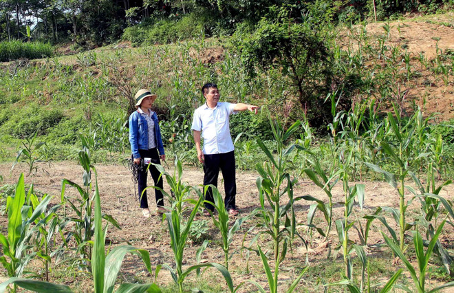 Tuyên Quang: Kiểm tra thông tin về tình trạng khai thác cát rầm rộ ảnh 1