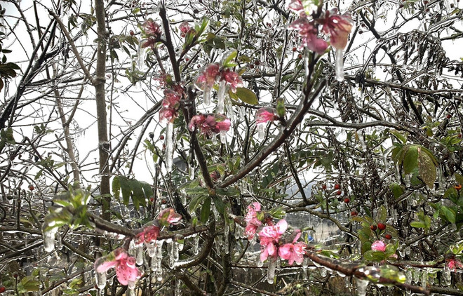 Chuyên gia nhận định đợt rét đậm đầu tiên trong mùa Đông 2022-2023 ảnh 2