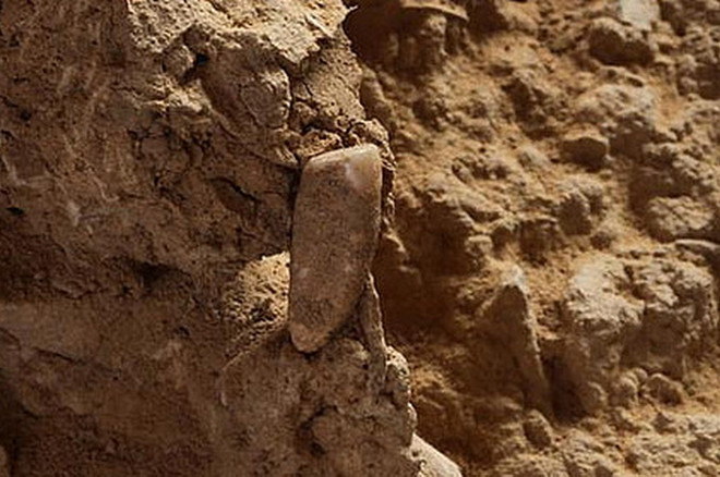 Phát hiện chiếc răng cổ xưa 560.000 năm tuổi gây chấn động ảnh 1