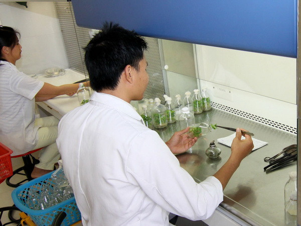 Việt-Lào tăng hợp tác trong lĩnh vực an toàn bức xạ và hạt nhân ảnh 1