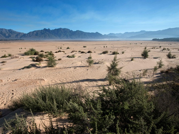 Nhiều thành phố và doanh nghiệp Mỹ vẫn thực hiện Hiệp định Paris ảnh 1