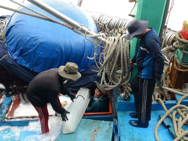 Trong 12 giờ tới, bão số 13 sẽ suy yếu dần thành áp thấp nhiệt đới ảnh 1