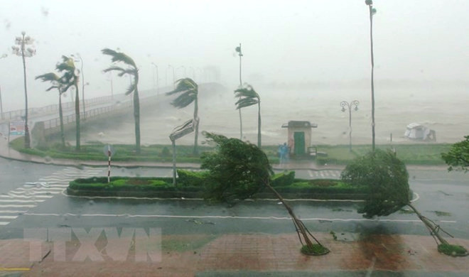 Tháng Tám có thể sẽ xuất hiện 1-2 cơn bão ảnh hưởng đến đất liền ảnh 1