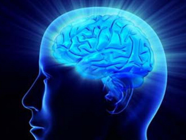 Gen mang yếu tố quyết định khả năng ghi nhớ của con người ảnh 1