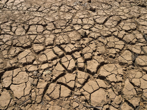 Peru ban bố tình trạng khẩn cấp ứng phó với hiện tượng El Nino ảnh 1