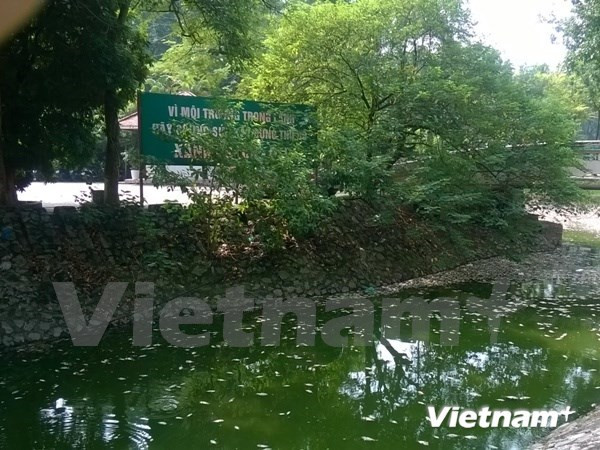 Hà Nội nỗ lực cải tạo môi trường nước, làm sạch các tuyến sông ảnh 1