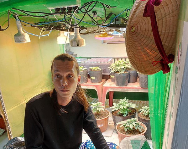 Cần Thơ: Bắt giữ đối tượng trồng cần sa trên sân thượng nhà riêng ảnh 1