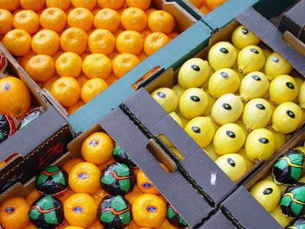 Nga thông báo sẽ dỡ bỏ lệnh cấm nhập khẩu rau quả từ Ai Cập ảnh 1