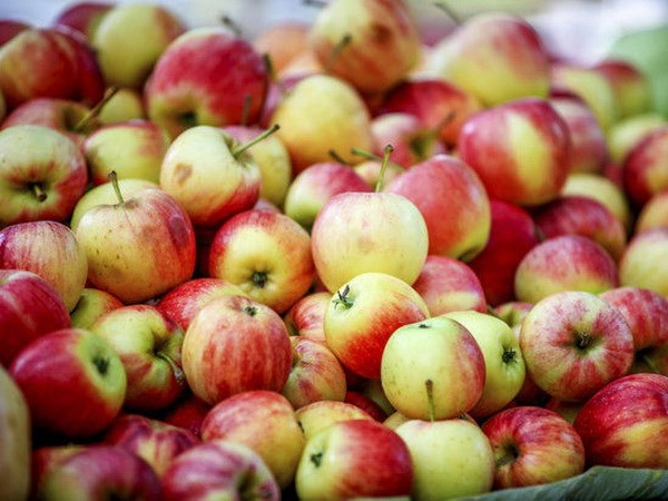 Hải quan Trung Quốc tăng kiểm tra hoa quả tươi nhập khẩu từ Mỹ ảnh 1