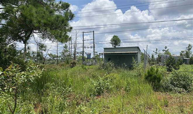 Đắk Nông có nhiều kiểm lâm, cán bộ quản lý, bảo vệ rừng xin nghỉ việc ảnh 1