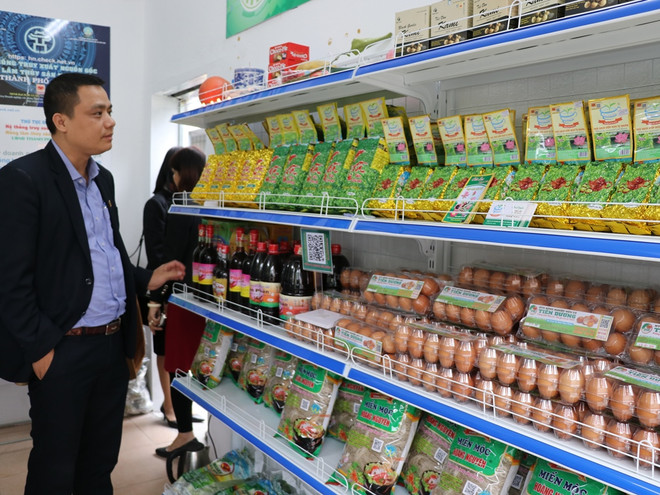 Đông Anh triển khai chuỗi sản xuất an toàn có truy xuất nguồn gốc ảnh 4