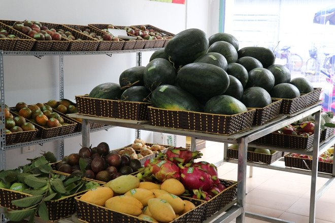 Đông Anh triển khai chuỗi sản xuất an toàn có truy xuất nguồn gốc ảnh 3