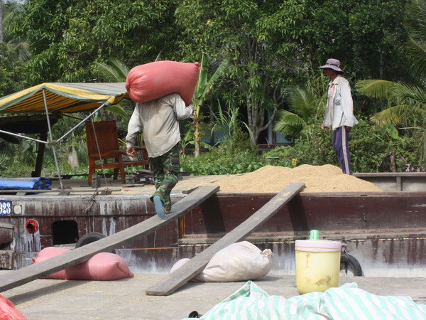 Cơ bản hoàn thành chỉ tiêu thu mua tạm trữ 1 triệu tấn quy gạo ảnh 1