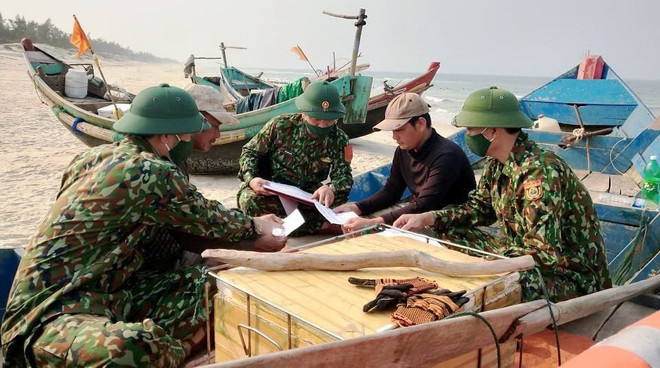 Quảng Bình: Tàu cá bị chìm sau khi va chạm mạnh với tàu hàng trên biển ảnh 1