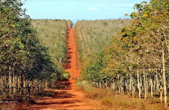 Gia Lai: Về miền hoang dã cùng văn hóa Tây Nguyên ảnh 11