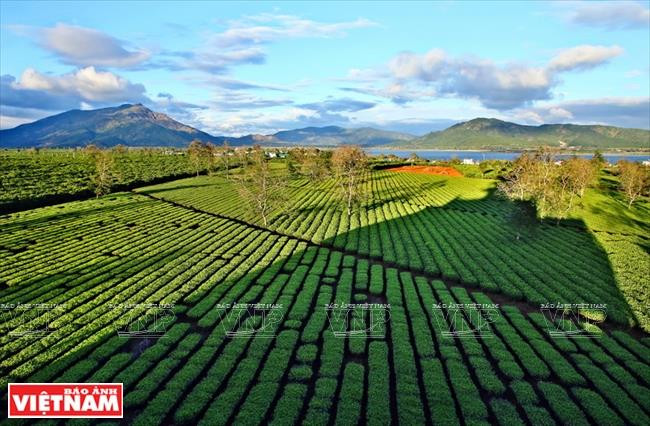 Gia Lai: Về miền hoang dã cùng văn hóa Tây Nguyên ảnh 16