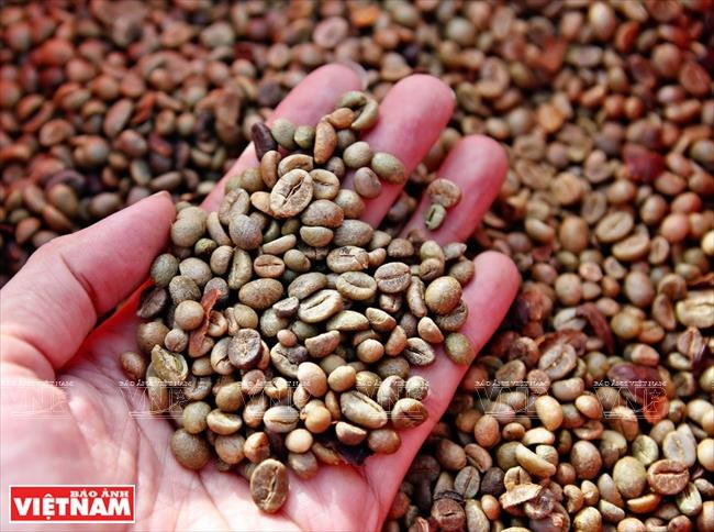 Gia Lai: Về miền hoang dã cùng văn hóa Tây Nguyên ảnh 12