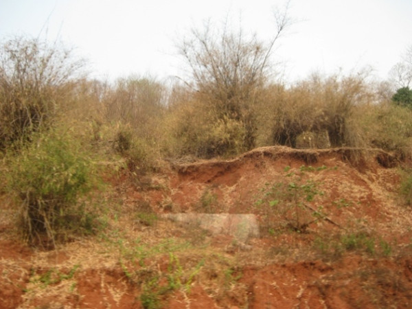 Lâm trường "ôm" đất, đồng bào dân tộc khó sản xuất ảnh 2