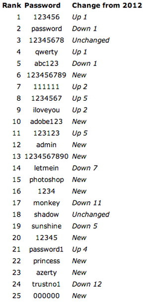 Những mật khẩu “ngớ ngẩn” phổ biến nhất năm 2013 ảnh 1