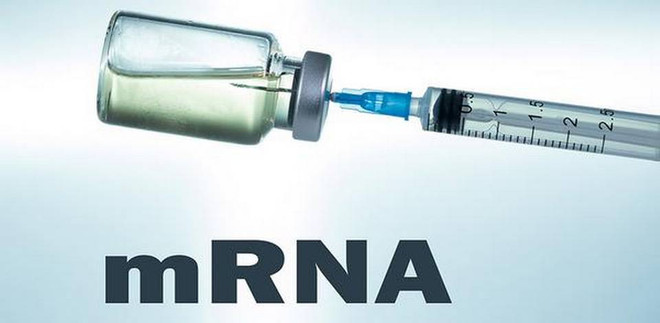 Vaccine mRNA do Ấn Độ phát triển bước đầu đạt kết quả khả quan ảnh 1