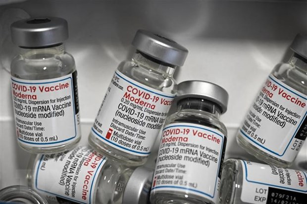 Năm điều cần biết về vaccine ngừa COVID-19 cho trẻ dưới 5 tuổi ảnh 2