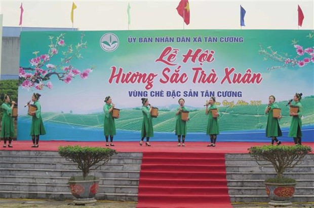 Thái Nguyên: Lan tỏa “Hương sắc trà Xuân - vùng chè đặc sản Tân Cương” ảnh 1