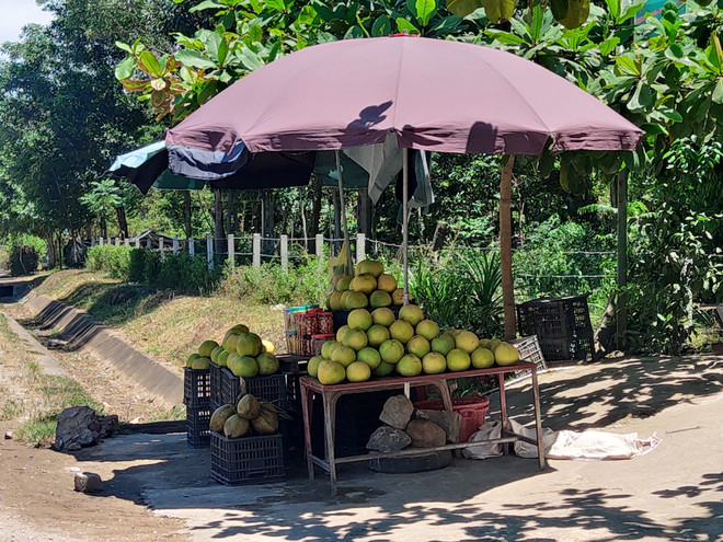 Hà Tĩnh: Tìm giải pháp hỗ trợ nông dân tiêu thụ bưởi Phúc Trạch ảnh 1