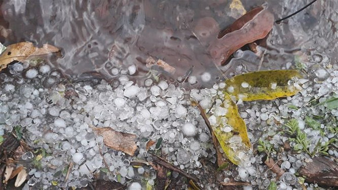 Tháng Tám còn nắng nóng, miền Bắc đón mùa Đông đến sớm và lạnh hơn ảnh 2