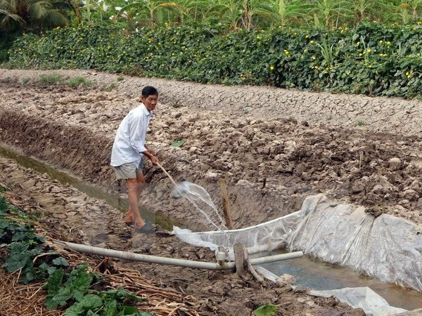 Cà Mau huy động nguồn lực giải quyết tình trạng thiếu nước ảnh 1
