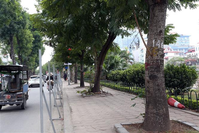 Hà Nội: Chặt hạ, di dời gần 500 cây xanh mở rộng đường Láng ảnh 1