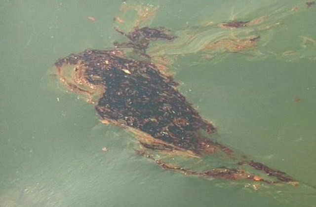 Trung Quốc: CNPC có thể phải đền 104 triệu USD vì vụ tràn dầu ảnh 1