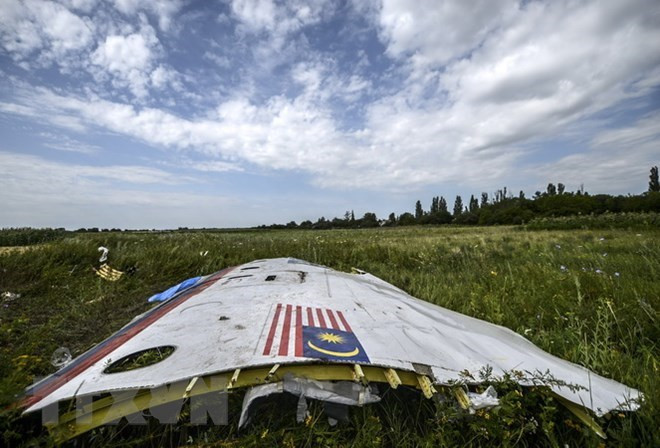 Đức kêu gọi Nga hành động có trách nhiệm trong việc giải thích vụ MH17 ảnh 1