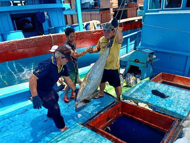 Chiến lược biển Việt Nam: Bảo tồn, khai thác hiệu quả nguồn hải sản ảnh 1