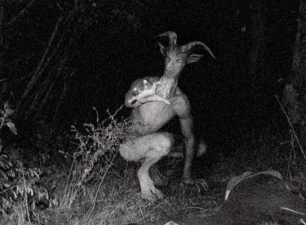 Xôn xao trước những hình ảnh về "quái vật Người Dê" bí ẩn ảnh 1