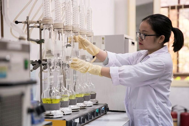 Ảnh minh họa. (Nguồn: Vietnam+) 44 công trình, đề tài được trao Giải thưởng Sáng tạo lần đầu tiên ảnh 1