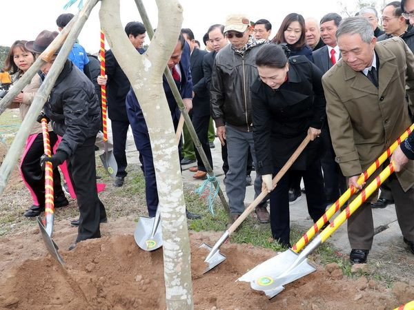 Chủ tịch Quốc hội dự Lễ phát động Tết trồng cây tại Hải Dương ảnh 1