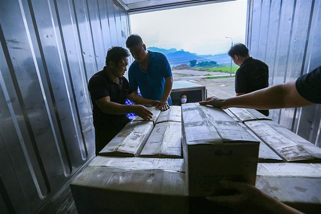 Doanh nghiệp Việt Nam chủ động ứng phó với phòng vệ thương mại tại Mỹ ảnh 2