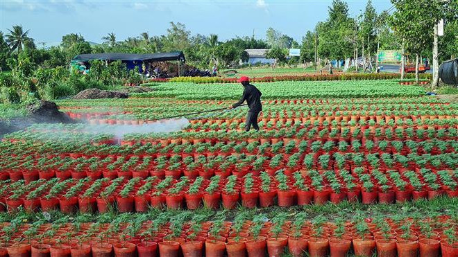 Sóc Trăng huy động trên 8.300 tỷ đồng xây dựng Nông thôn Mới ảnh 1