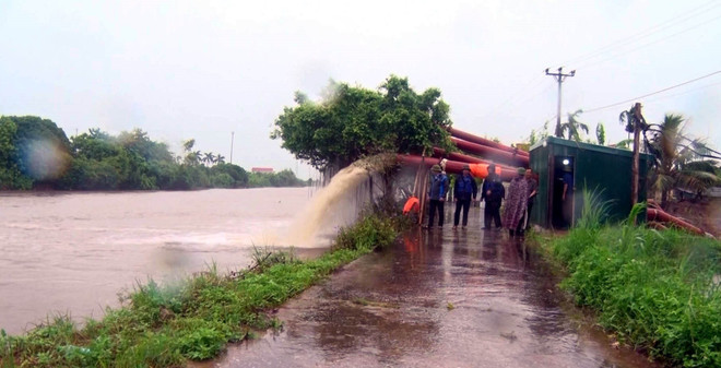 ttxvn_lua ninh binh.jpg