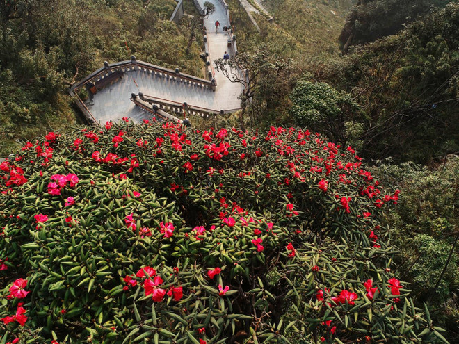 Mặc áo khoác giữa mùa Hè - Điều không tưởng chỉ có ở Fanispan! ảnh 7