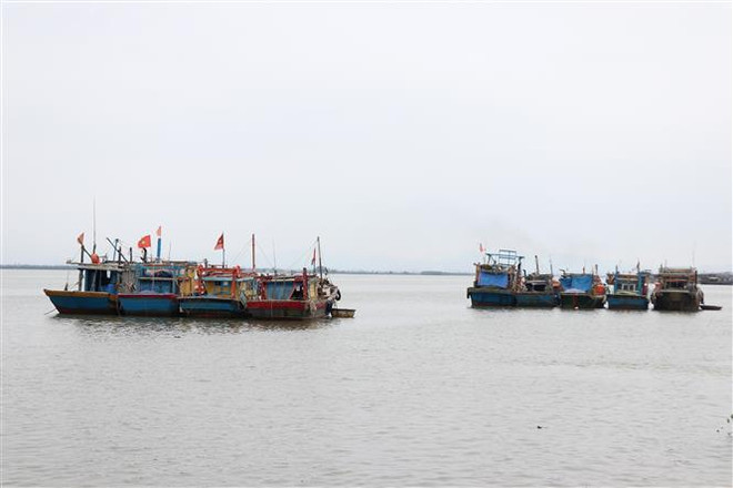 Đội tàu cá công suất lớn đánh bắt xa bờ của ngư dân Quảng Trị neo đậu tại Khu neo đậu Bắc Cửa Việt. (Ảnh: Nguyên Lý/TTXVN) Vận dụng UNCLOS 1982 để đưa Việt Nam trở thành quốc gia biển mạnh ảnh 1